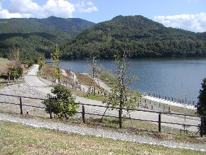 いなさ湖の秋ｐ１