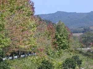 いなさ湖の秋パート１