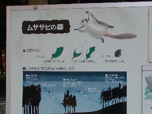 渭井神社祭典