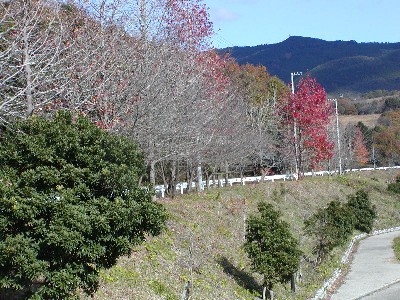 いなさ湖の冬ｐ１