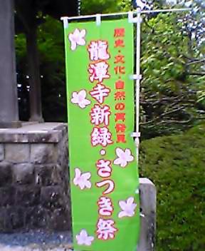 龍潭寺の藤