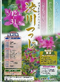 渋川つつじ祭りパンフ入手