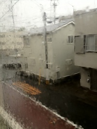 台風4号が・・・！！ 2012/06/19 17:18:21