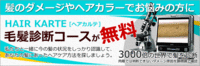 働く女性の髪のお悩み 2011/11/03 16:42:35