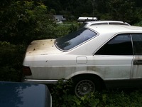 久しぶりの洗車