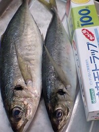 焼津港の 2007/10/25 15:58:52