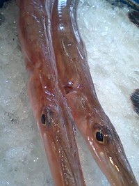 やがら 2007/12/11 09:59:36