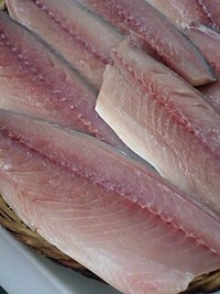 サバを 2007/12/17 15:47:01