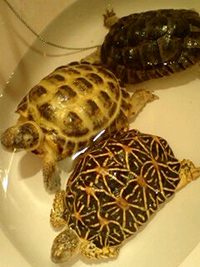 温泉に 2007/12/23 21:33:17