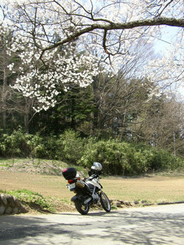 F650GS　Dakar