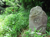 水神様の湧き水