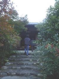 厭雛庵
