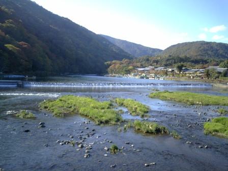 嵐山と言ったら・・・。