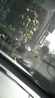 年始早々 2009/01/05 23:14:16