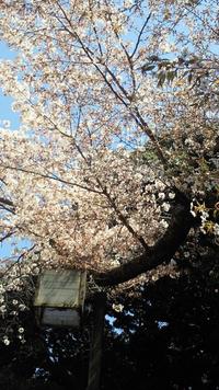 新年度スタート