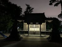 お礼参り 2019/12/31 07:29:24