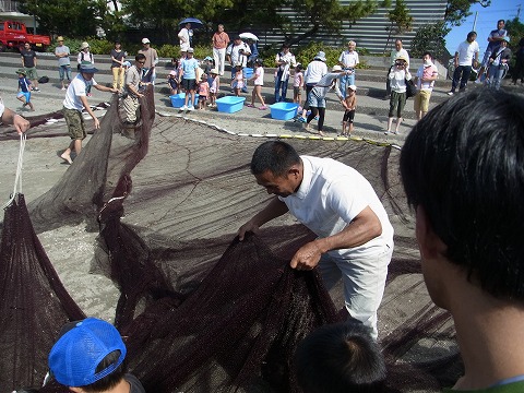 浜名湖で地引き網体験！初めて触る浜名湖の幸に大歓声の子供たち！