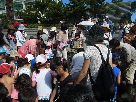 浜名湖で地引き網体験！初めて触る浜名湖の幸に大歓声の子供たち！