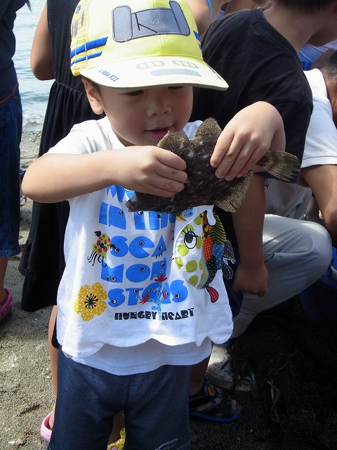 浜名湖で地引き網体験！初めて触る浜名湖の幸に大歓声の子供たち！