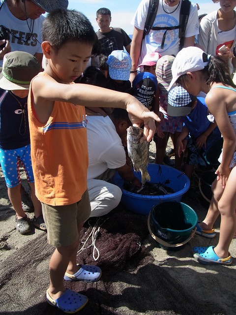 浜名湖で地引き網体験！初めて触る浜名湖の幸に大歓声の子供たち！