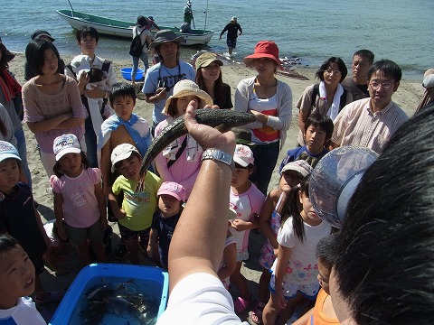 浜名湖で地引き網体験！初めて触る浜名湖の幸に大歓声の子供たち！