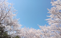 　未来くる園に春が来ました　♡♡ 2023/04/17 18:54:32