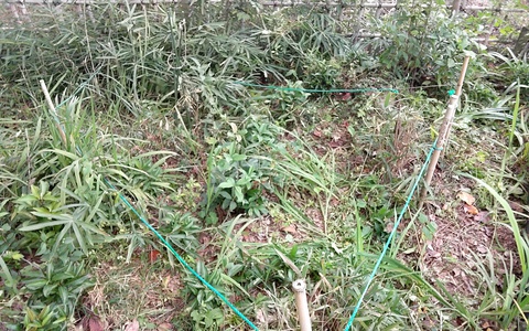 縄文小屋の屋根の杉皮葺きと小さな未来くる園の看板立て