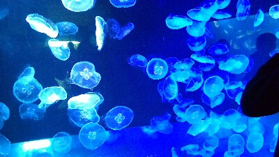 スカイツリー再び。とはいきませんでした。