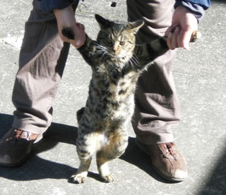 風が止んだ・・・