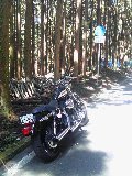 森林浴〜 2010/09/11 10:57:14
