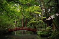 小国神社 2008/08/29 14:41:10