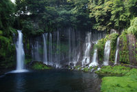 白糸の滝 2008/09/01 13:55:42