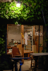 新しい風 2009/05/16 15:43:13