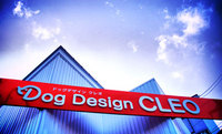 DogDesignCLEO 2008/09/08 11:13:14