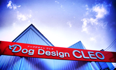 DogDesignCLEO