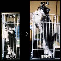 ありがとう 2008/10/21 16:24:32