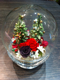 Xmasドーム☆
