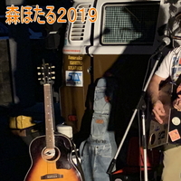 森ほたる　 2019/08/13 00:16:05