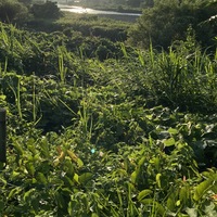 世界は光に満ちている！！ 2021/07/17 21:05:42