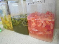 酵素ジュース作り体験会