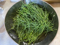 松葉ジュース、上手くできました 2021/09/10 22:19:26