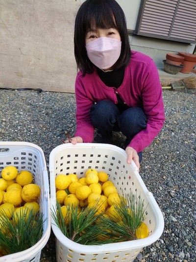 柚子　大収穫祭！