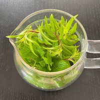 アロマセラピートリートメントでリフレッシュ 2022/05/16 10:54:56