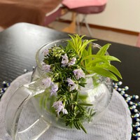 アロマセラピートリートメントについて 2022/06/01 20:25:51
