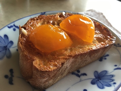 人気の醗酵ドリンクについて