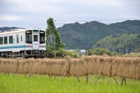 思い出写真・・・『実りの秋』