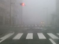 霧