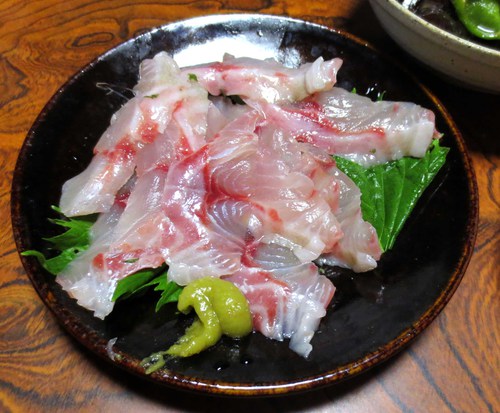 イサキのお刺身