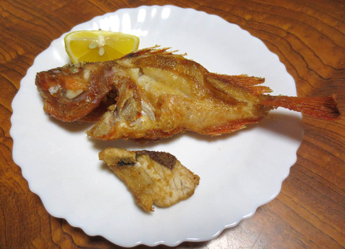 魚料理が続きました
