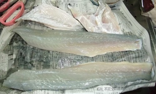 シーバスのおろし方